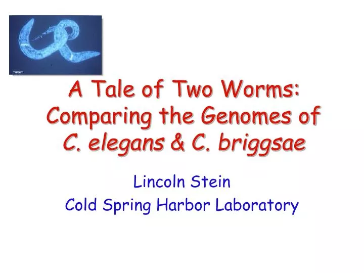 a tale of two worms comparing the genomes of c elegans c briggsae