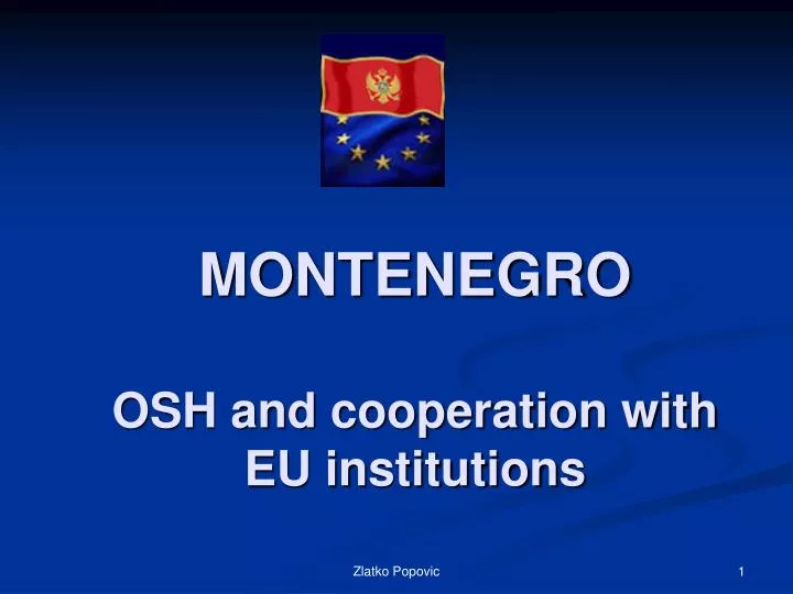 montenegro osh and cooperation with eu institutions