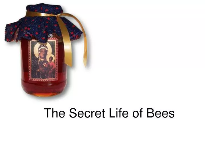 the secret life of bees