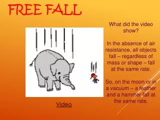 Free Fall