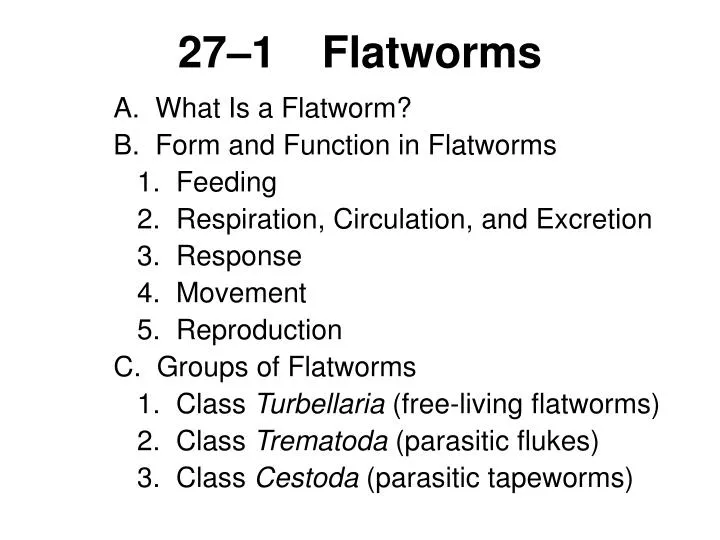 27 1 flatworms
