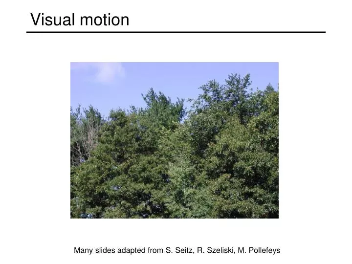 visual motion