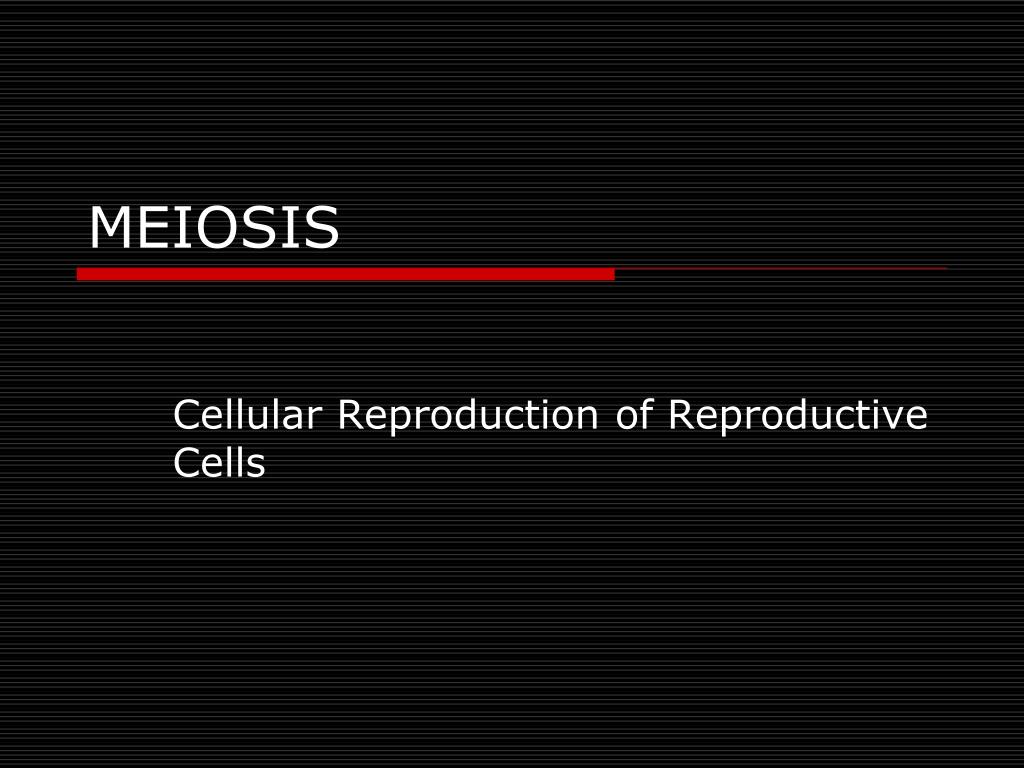 PPT - Understanding Meiosis: Cellular Reproduction of Reproductive ...