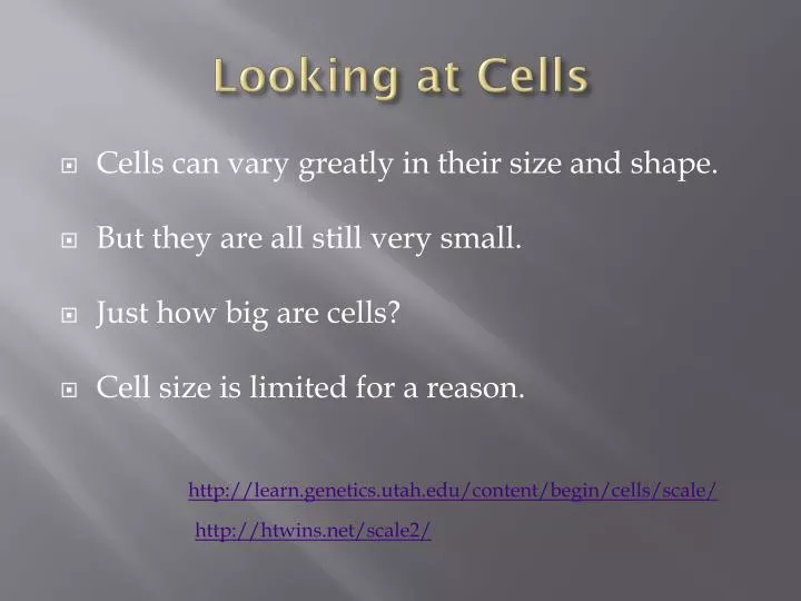 looking at cells