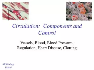 Circulation: Components and Control