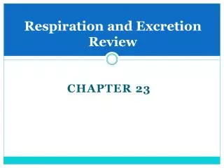 Respiration and Excretion Review