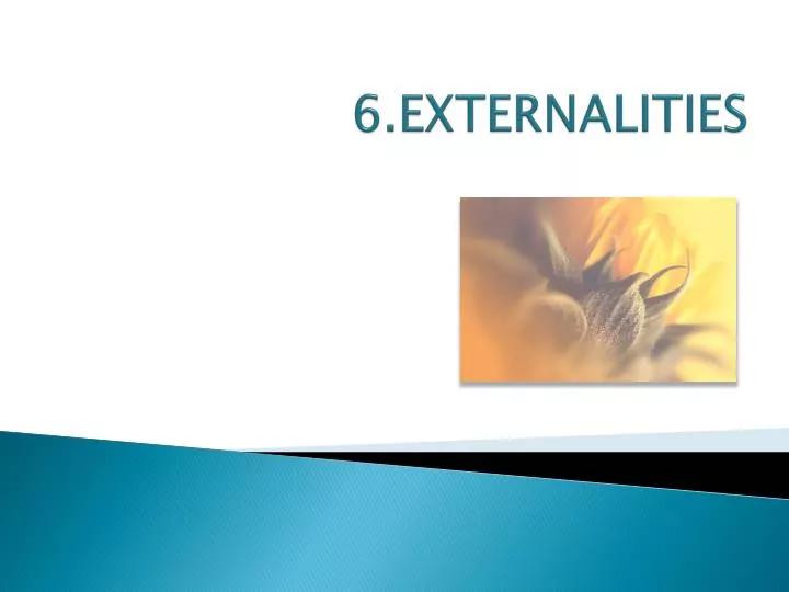 6 externalities