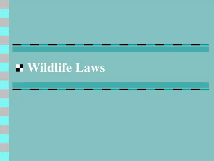 wildlife laws