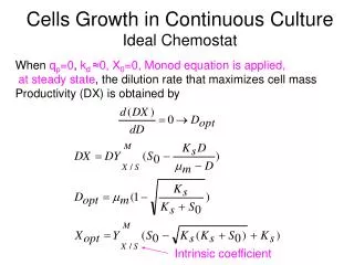 Cells Growth in Continuous Culture Ideal Chemostat