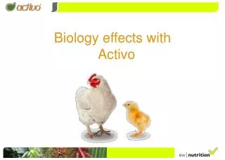 Biology effects with Activo