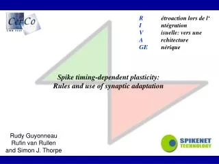 Spike timing-dependent plasticity: Rules and use of synaptic adaptation