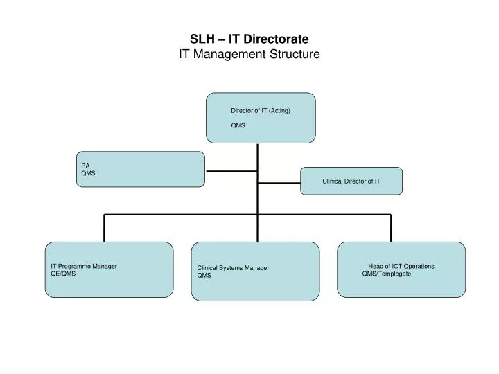slh it directorate it management structure