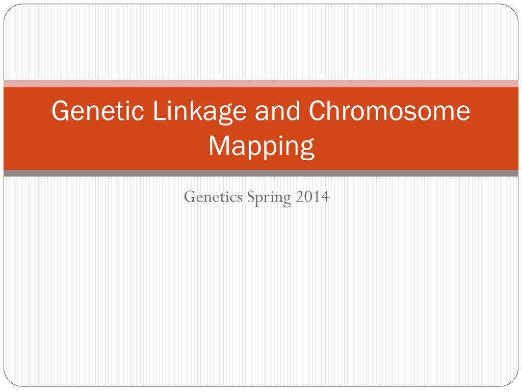 PPT - Genetic Linkage and Chromosome Mapping PowerPoint Presentation ...
