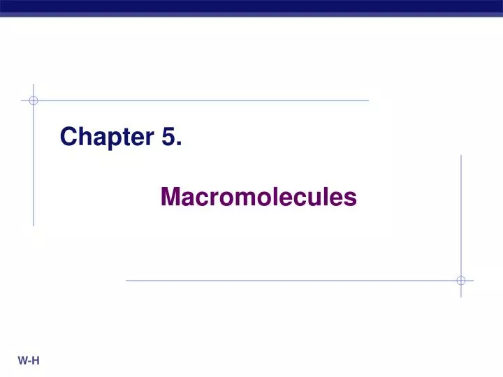 chapter 5 macromolecules