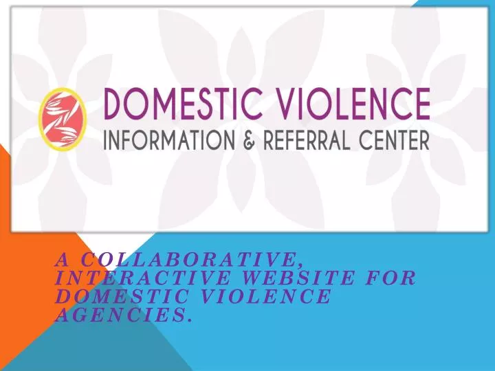 a collaborative interactive website for domestic violence agencies