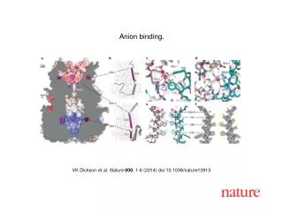 VK Dickson et al. Nature 000 , 1-6 (2014) doi:10.1038/nature13913