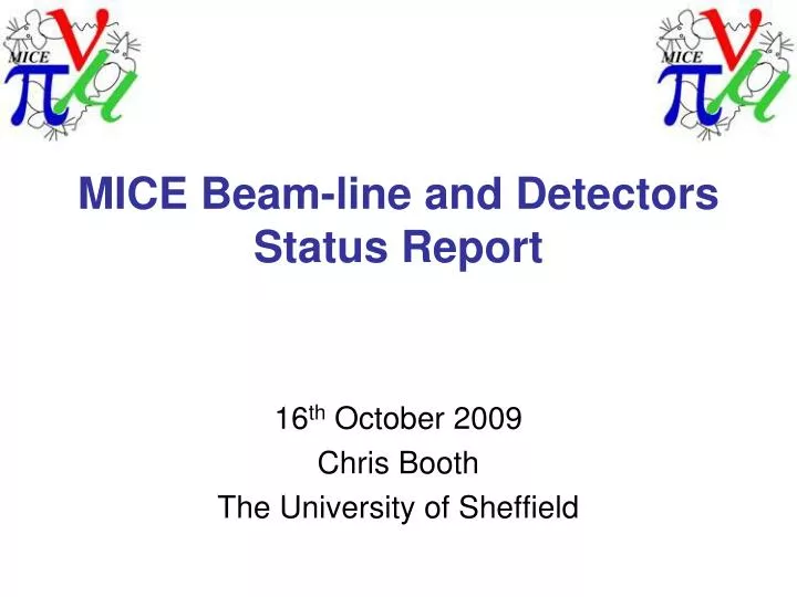 mice beam line and detectors status report