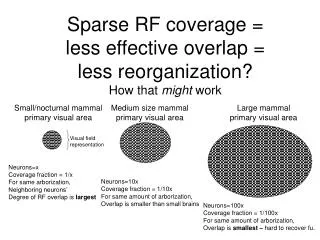 Sparse RF coverage = less effective overlap = less reorganization? How that might work