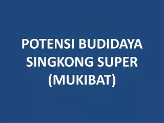 potensi budidaya singkong super mukibat