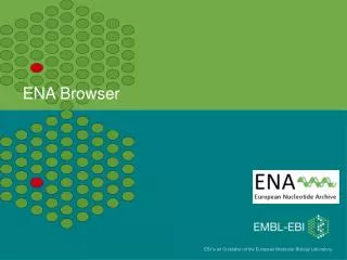 ENA Browser