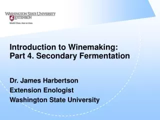 Introduction to Winemaking: Part 4. Secondary Fermentation