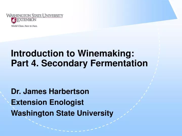 introduction to winemaking part 4 secondary fermentation
