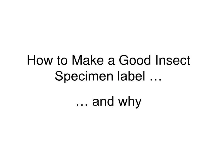 how to make a good insect specimen label