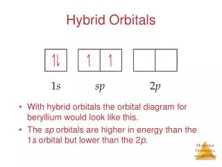 Hybrid Orbitals