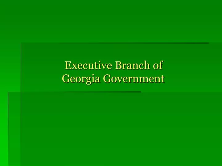 executive branch of georgia government