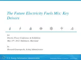 The Future Electricity Fuels Mix: Key Drivers