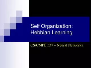 Self Organization: Hebbian Learning