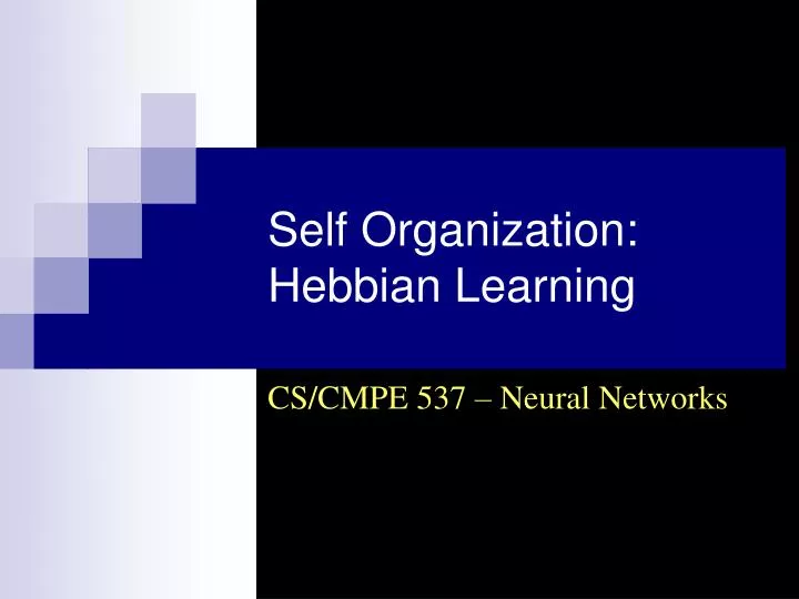 self organization hebbian learning