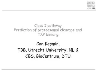 Class I pathway Prediction of proteasomal cleavage and TAP binidng