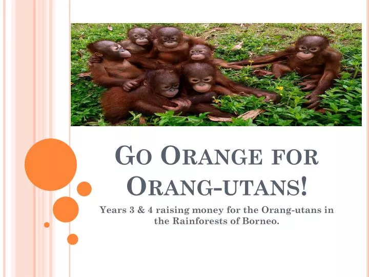 go orange for orang utans