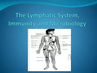 The Lymphatic System, Immunity and Microbiology