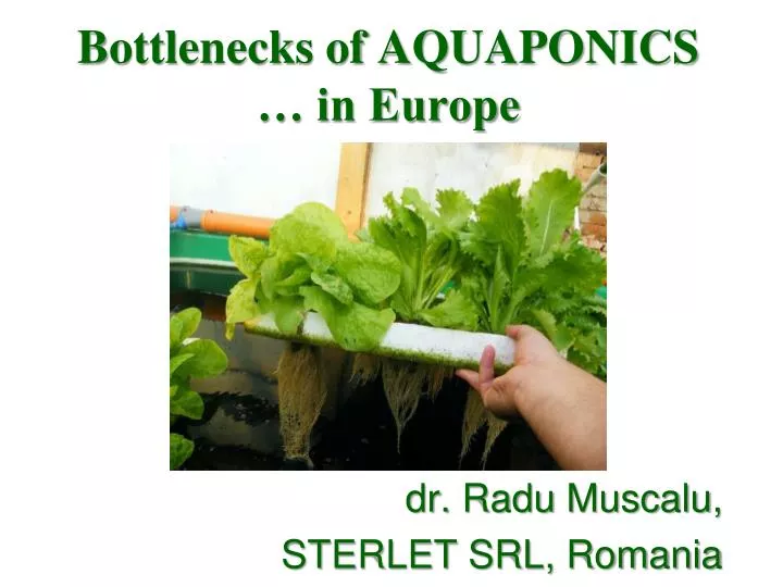 bottlenecks of aquaponics in europe