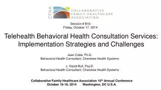 Telehealth Behavioral Health Consultation Services: Implementation Strategies and Challenges