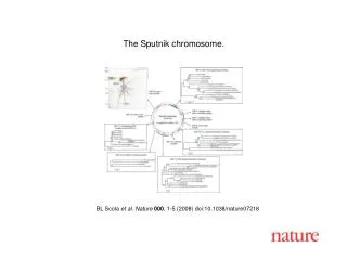 BL Scola et al. Nature 000 , 1- 5 (2008) doi:10.1038/nature07 218