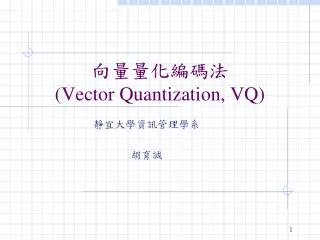 vector quantization vq