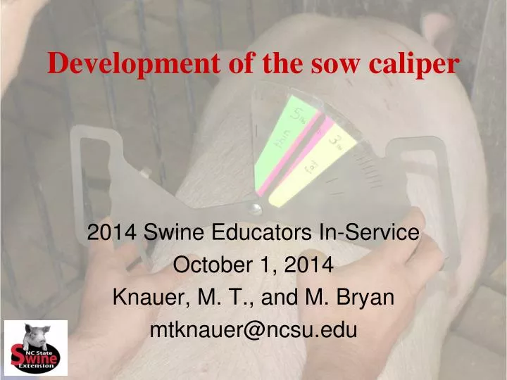 development of the sow caliper
