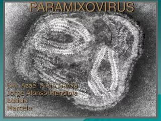 paramixovirus