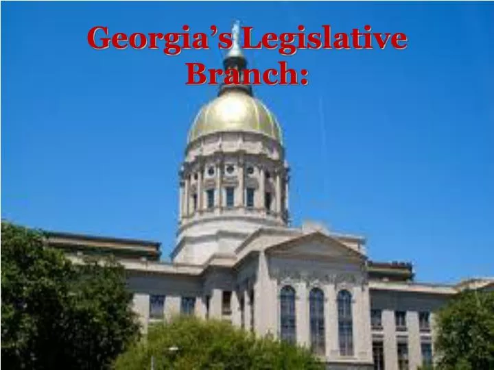 georgia s legislative branch