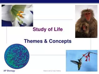 Study of Life Themes &amp; Concepts