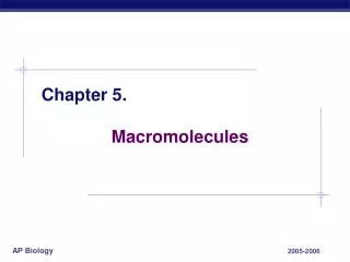 Chapter 5. 		Macromolecules