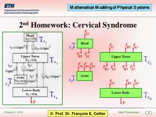2 nd Homework: Cervical Syndrome