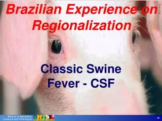 Brazilian Experience on Regionalization