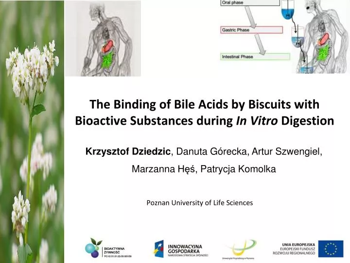 the binding of bile acids by biscuits with bioactive substances during in vitro digestion