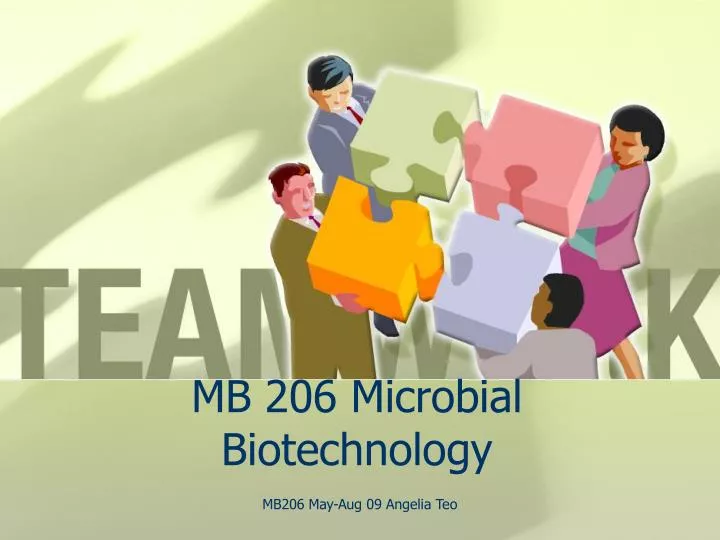 mb 206 microbial biotechnology