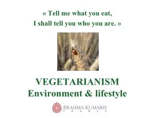 VEGETARIANISM Environment &amp; lifestyle