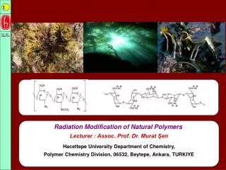 Radiation Modification of Natural Polymers Lecturer : Assoc. Prof. Dr. Murat ?en